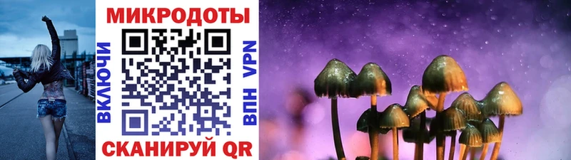 Галлюциногенные грибы мицелий  что такое   Волжск 